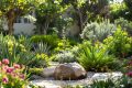 Jardin sans arrosage : les plantes idéales pour un espace vert résistant