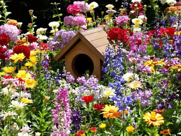 jardin_ecologique_biodiversite