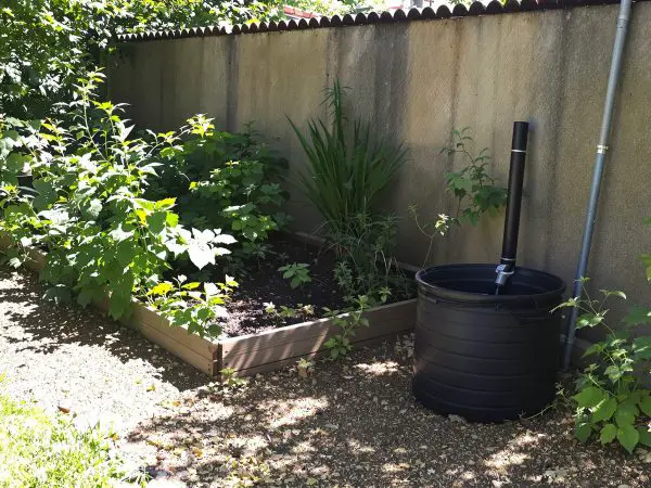 jardin_potager_protection_naturelle