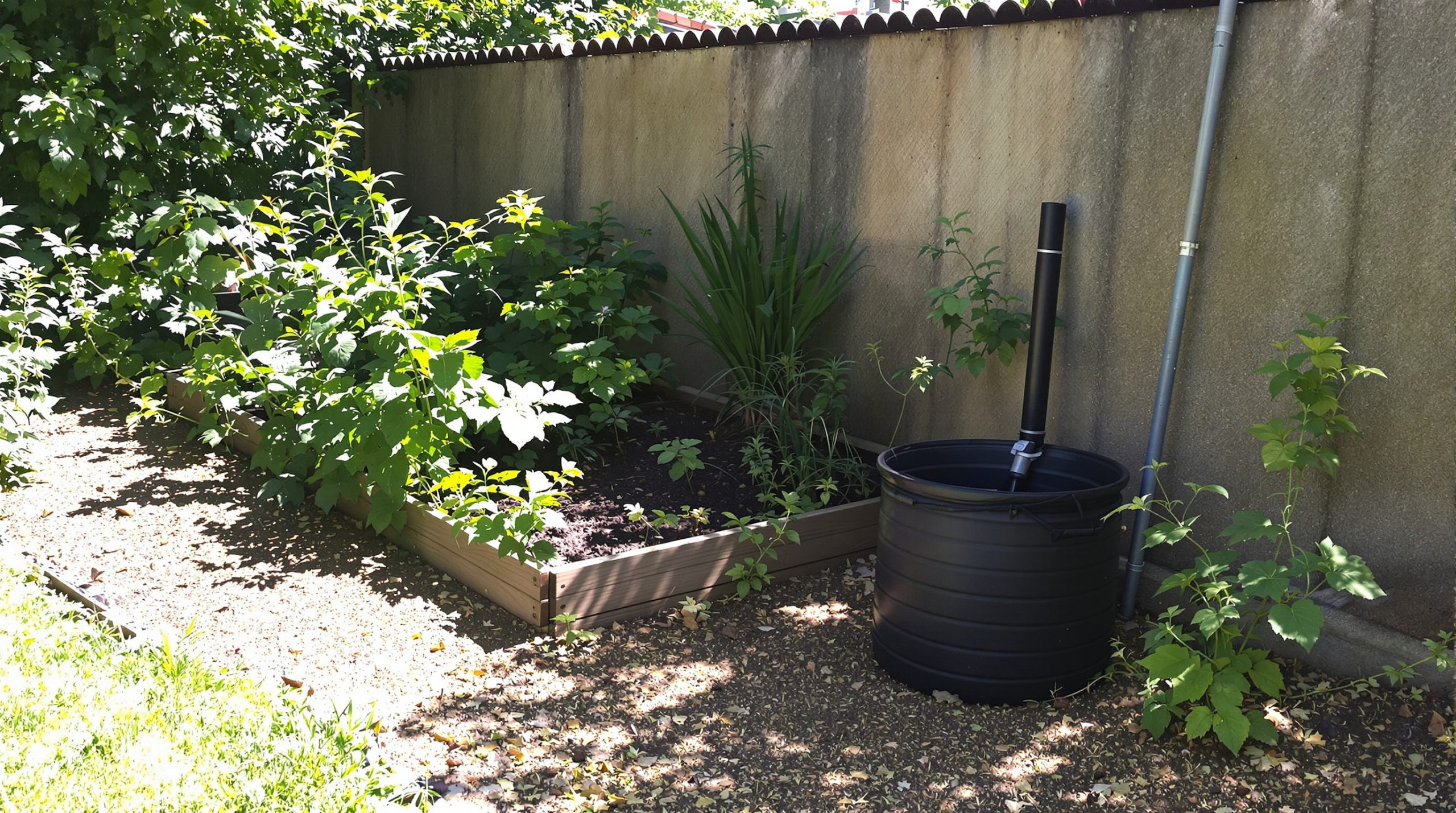 jardin_potager_protection_naturelle