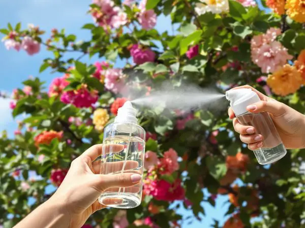 Jardin_vaporisation_bio