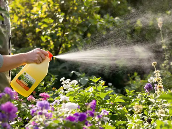 jardinier_vaporisant_plantes