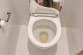 Éliminez calcaire et odeurs : le vinaigre blanc révolutionne l’entretien des toilettes