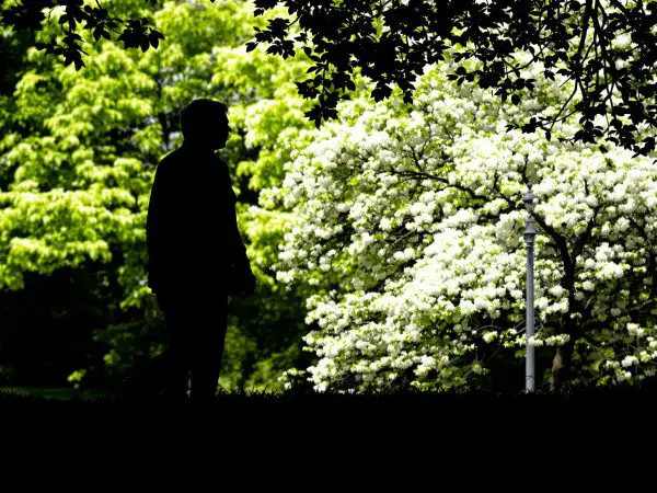 Promenade_résiliente.