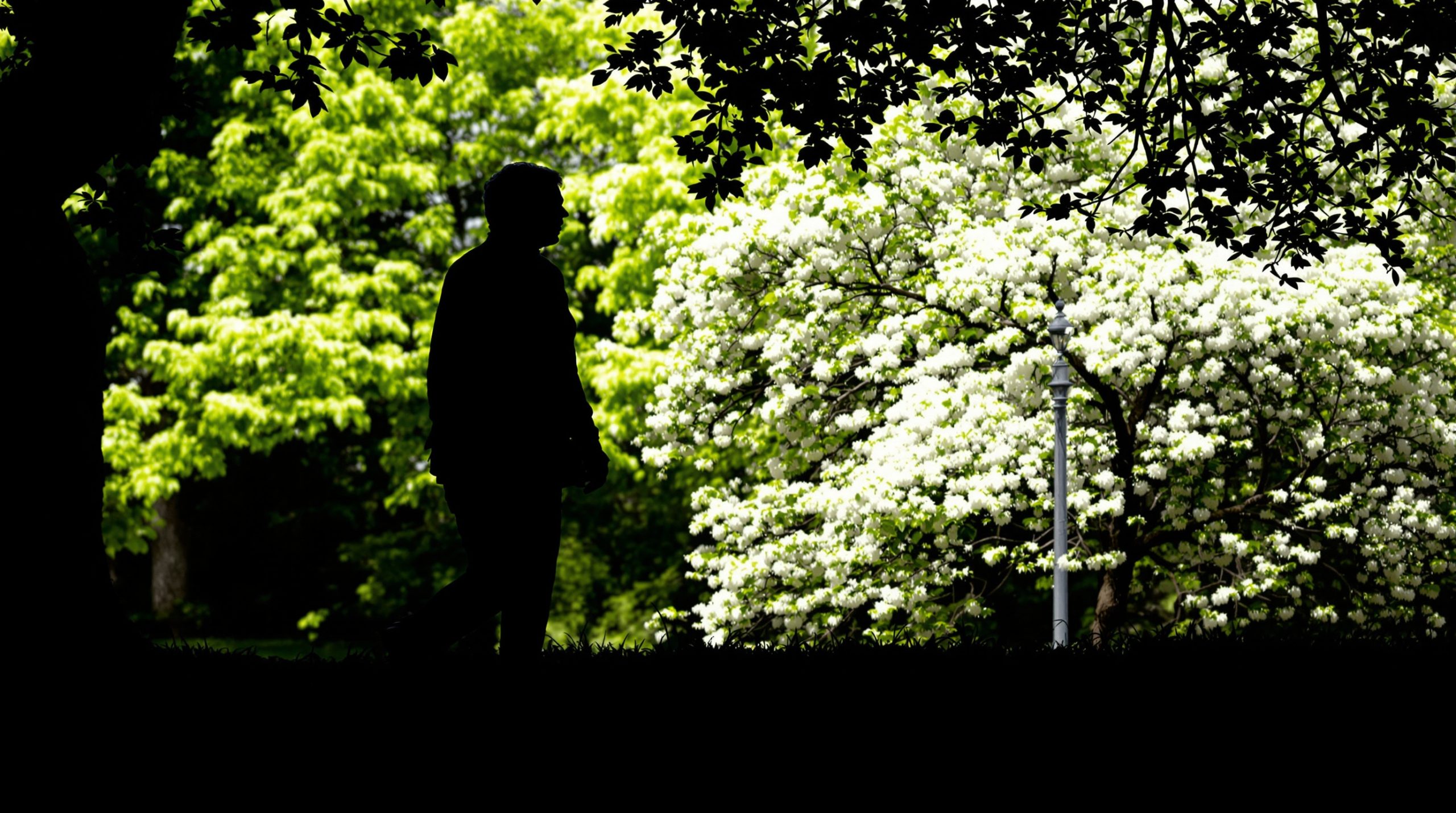 Promenade_résiliente.