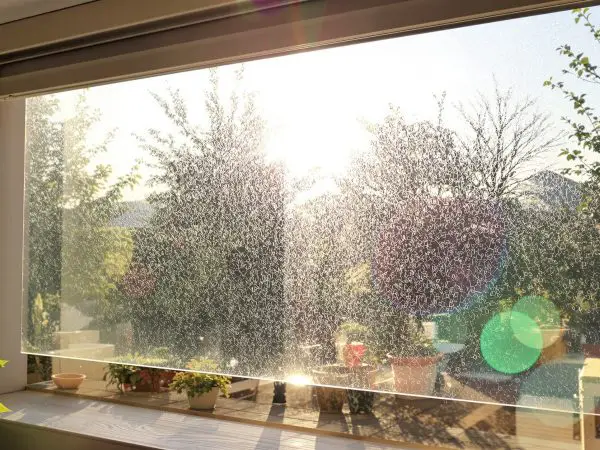 Reflet_Aluminium_Fenetre