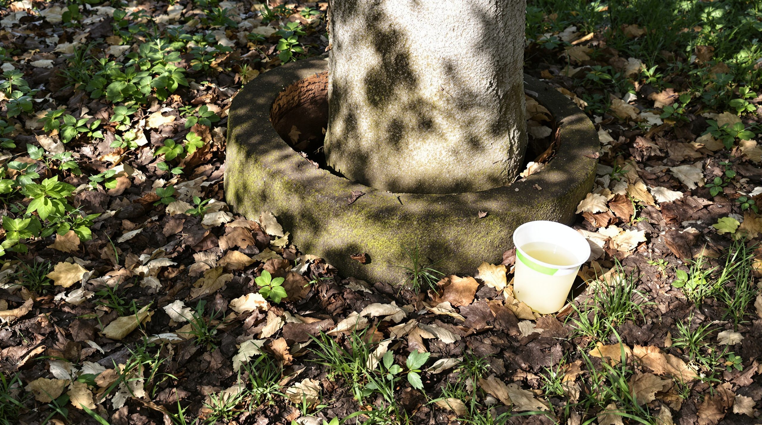 refuge_jardin_terre_cuite