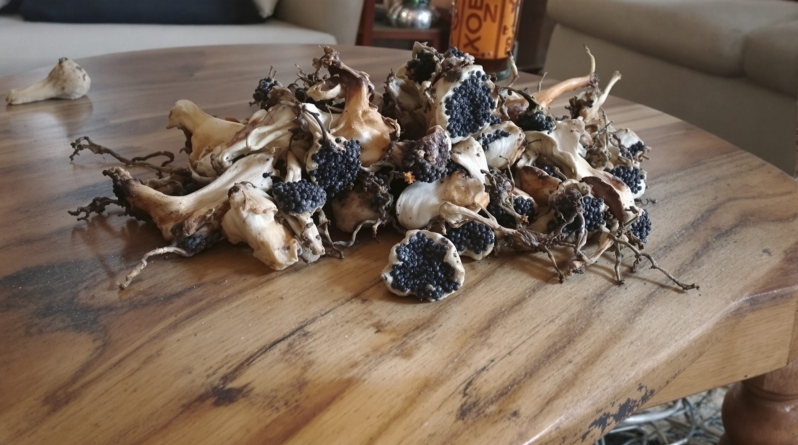 repulsif_naturel_agrume_girofle