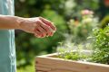 Protégez votre jardin naturellement : 7 répulsifs anti-serpents incontournables