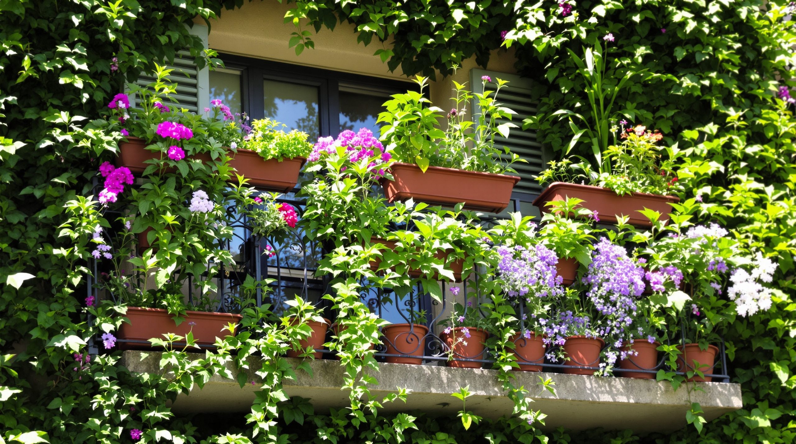 balcon_plantes_repusives