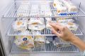 Conserver vos œufs : pourquoi la porte du frigo est un faux ami