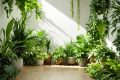Plantes increvables : votre guide pour verdir les espaces sombres et mal éclairés