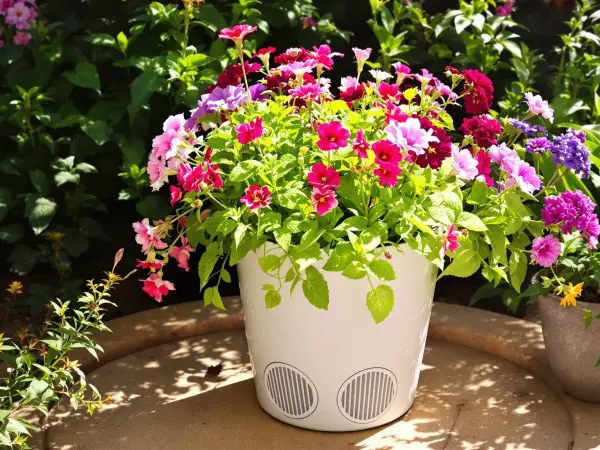 jardinage_vintage_pot_de_fleurs
