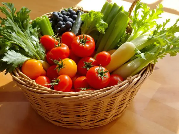 legume_frais_table