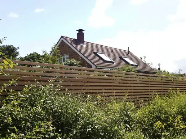 maison-délabree-avec-herbes