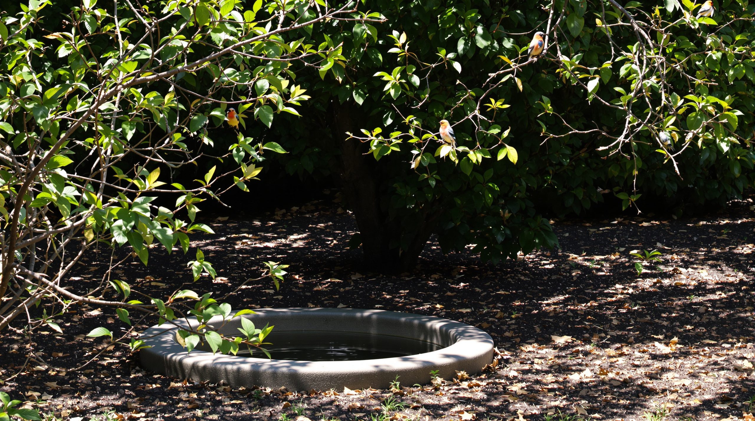 oasis_jardin_plumes
