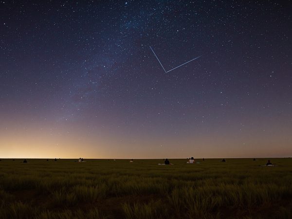 Observateurs_étoiles_champ_nuit