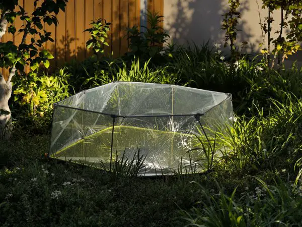 piege_verre_jardin
