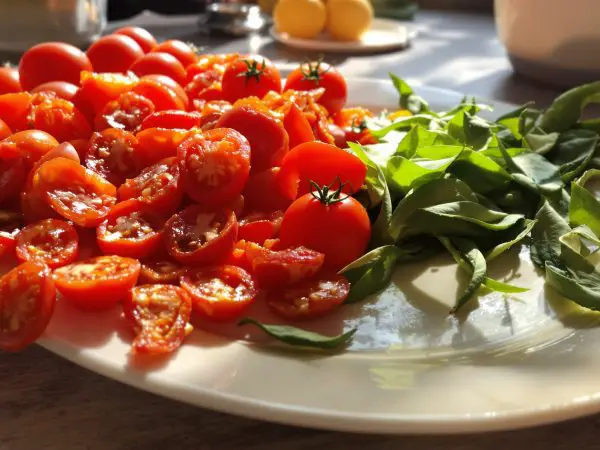 preparation_tomates_congelation