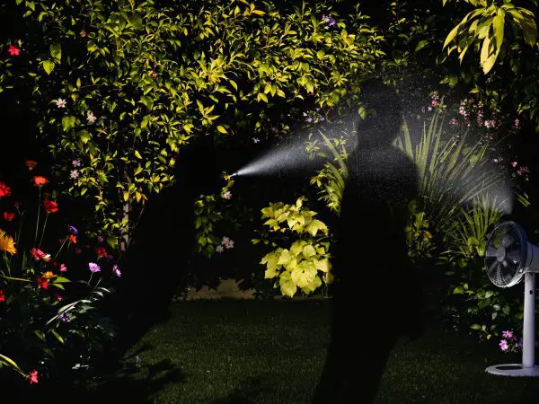 Prévention_Moustiques_Été_Garden