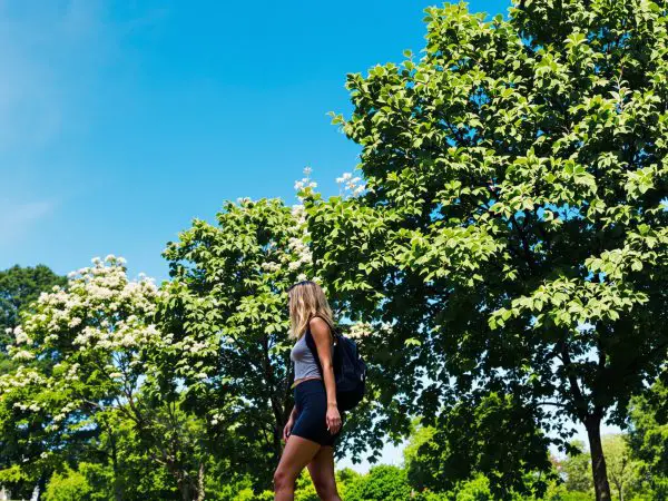 promenade_parc_été