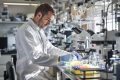 Nouvelle arme contre Alzheimer : percer le secret de la protéine Tau
