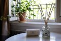 Éloignez les moustiques avec des rouleaux de papier toilette et des huiles essentielles