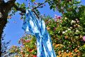 Votre garde-robe dévoile votre personnalité : testez votre couleur révélatrice