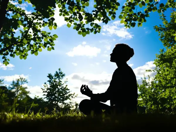santé_foie_méditation_nature