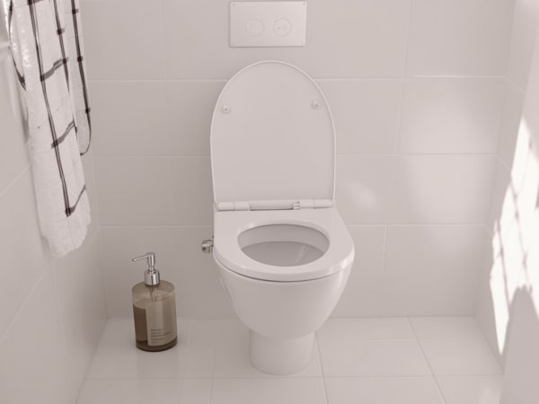 shampoing_nettoyage_domestique