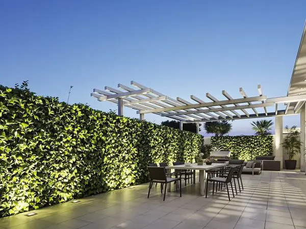 terrasse_jasmin_ombragée
