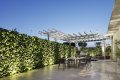 Transformez votre terrasse brûlante en oasis fraîche grâce au jasmin étoilé