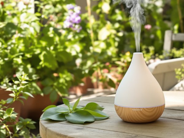 terrasse_plantes_repusives_flacon_vaporisateur