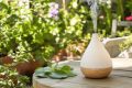 Un spray maison pour éradiquer les moustiques sans produits chimiques