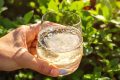 Répulsif naturel : vinaigre blanc et bicarbonate soulagent les piqûres en un instant
