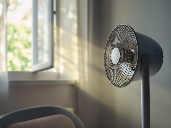 ventilateur_pendant_canicule
