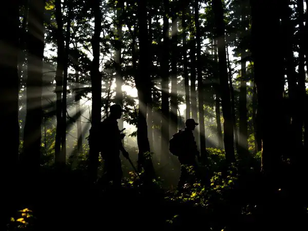 chasseurs_foret_lumineuse