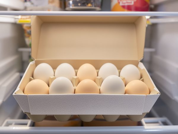 conservation_oeufs_frigo
