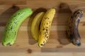 Banane : la couleur qui booste votre santé à chaque étape de maturité