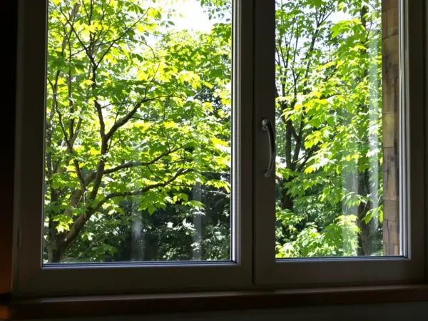 fenêtre_claire_paysage_naturel