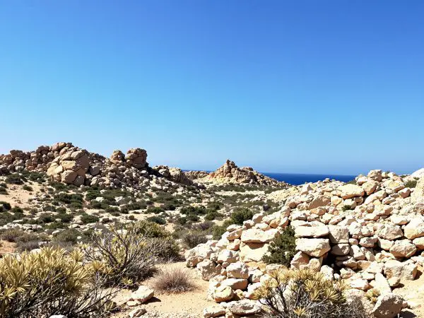 habitat_veuve_noire_mediterranee