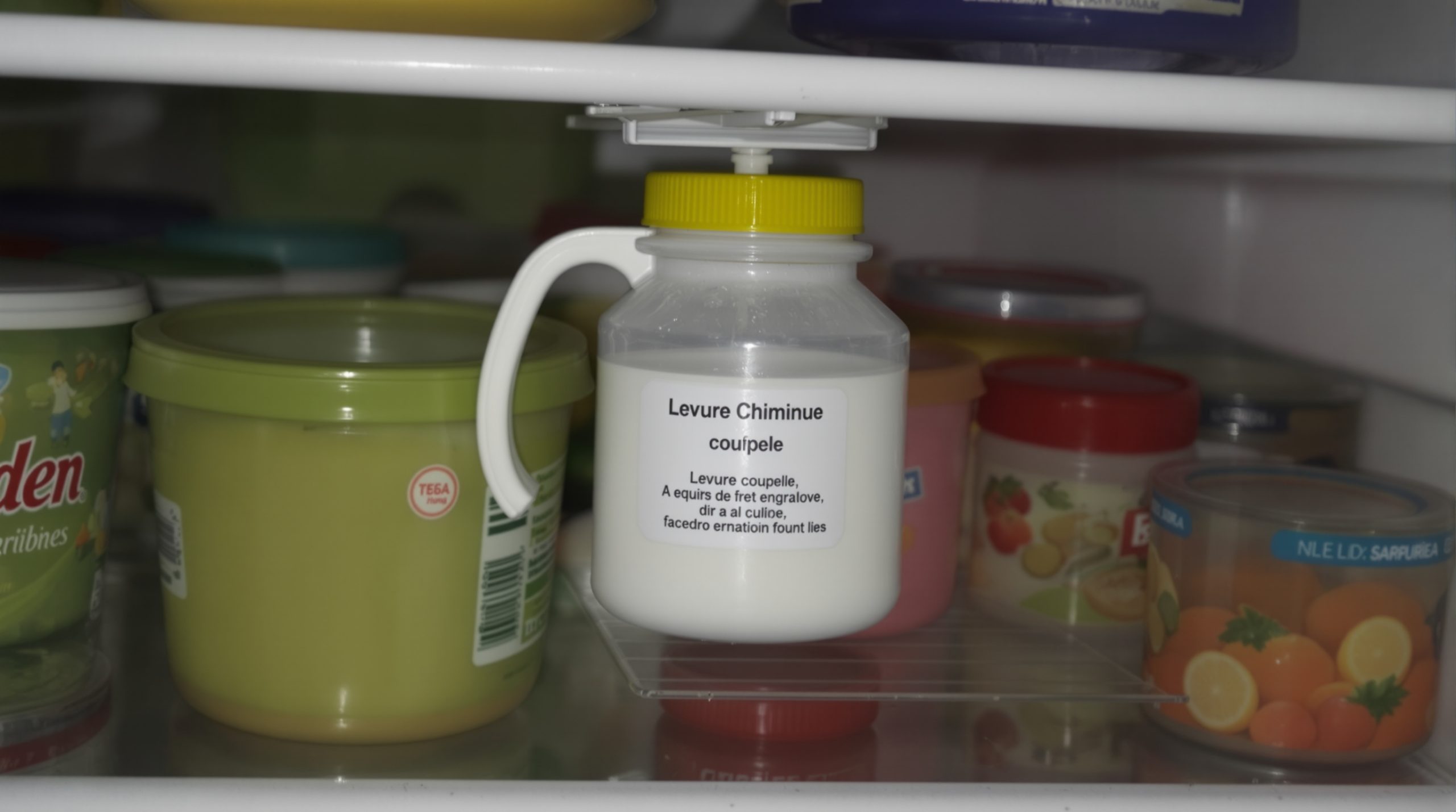 levure_desodorisant_refrigerateur