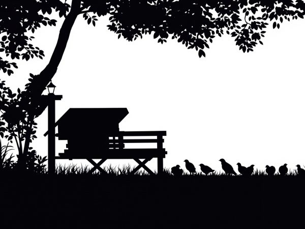 Poulailler_Jardin_Écologique