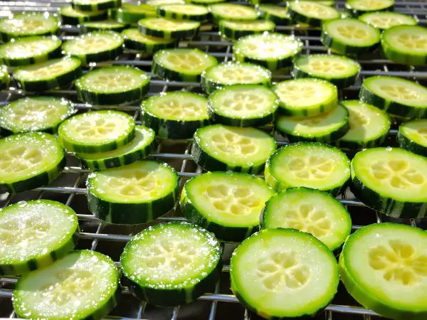 preparation_courgettes_congelation