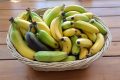 Choisissez la couleur de votre banane pour des bienfaits santé sur mesure