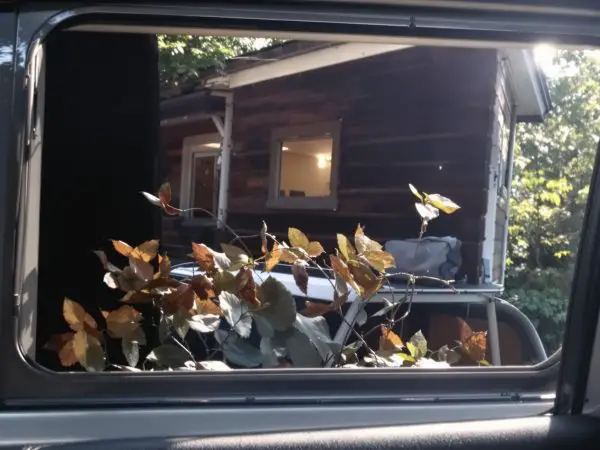voiture_laurel_interieur