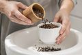 Marc de café : l’astuce écolo pour des toilettes impeccables sans produits chimiques