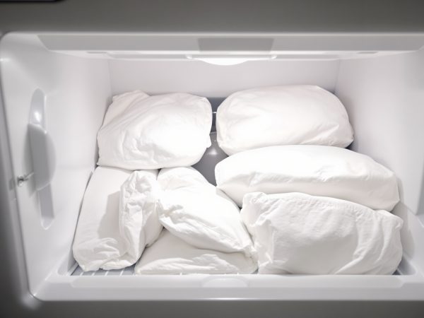 congélateur_organisé