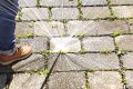 Bicarbonate de soude : la solution naturelle pour vaincre les mauvaises herbes