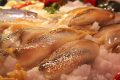 L’églefin : le poisson éco-friendly et économique qui concurrence le cabillaud